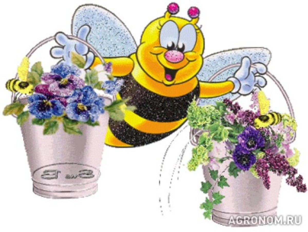 С днем рождения пчела мед