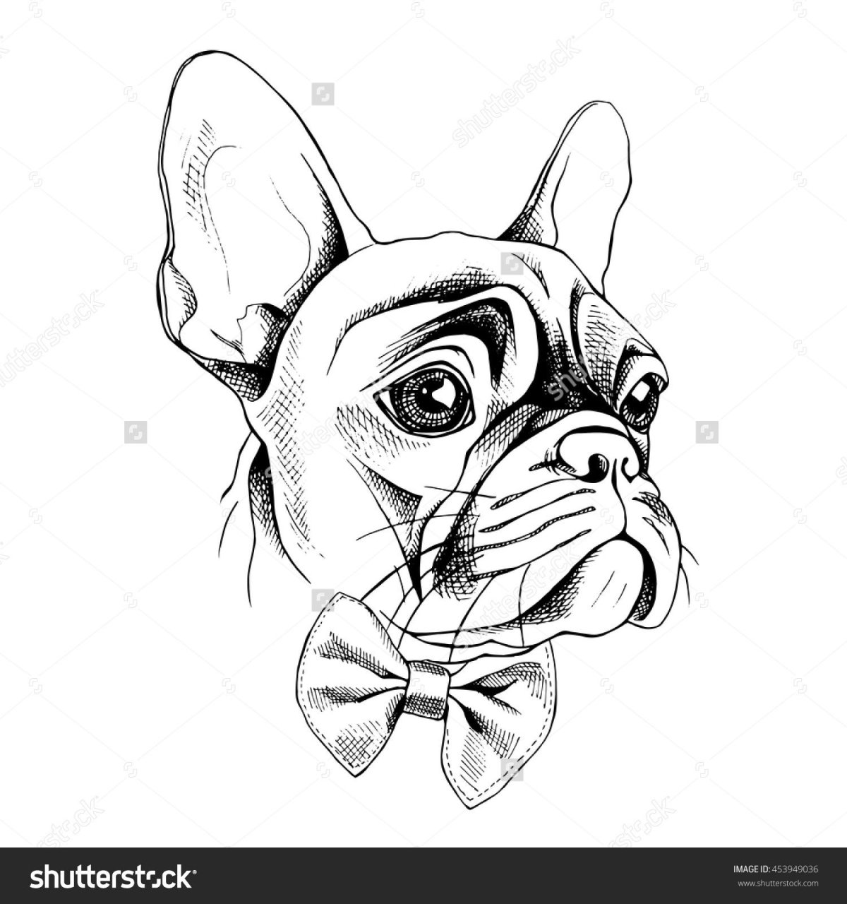 Французский бульдог в профиль рисунок