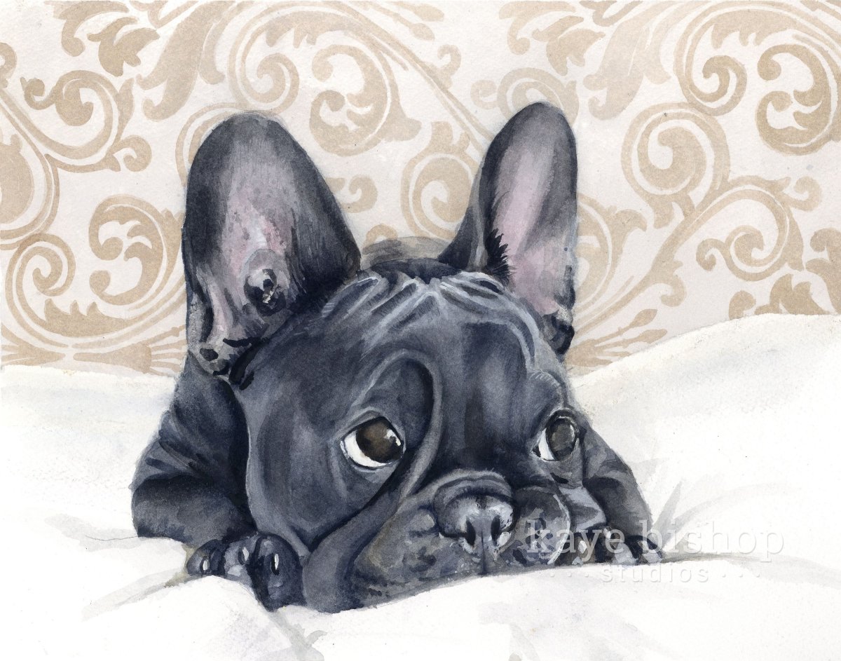 Французский бульдог Ричард