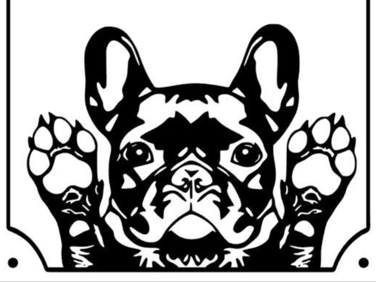 Раскраска французский бульдог