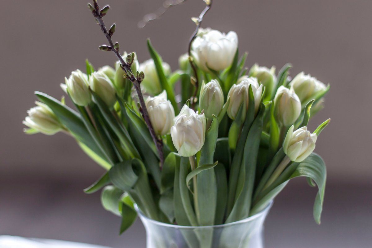 Тюльпаны в вазе на столе