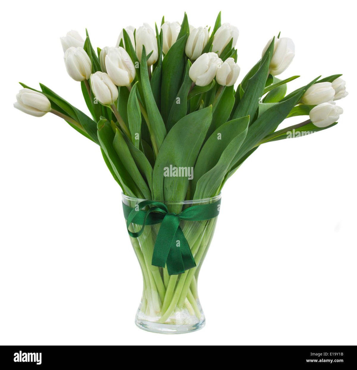 Белые тюльпаны букет в вазе