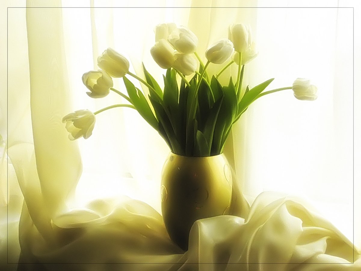Тюльпаны в круглой вазе