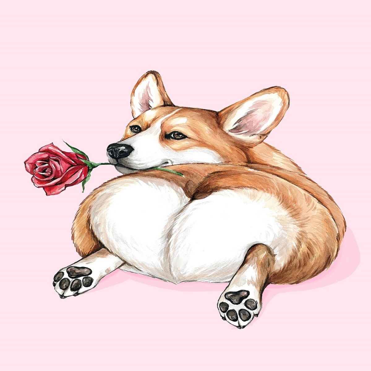 Валентинка с корги