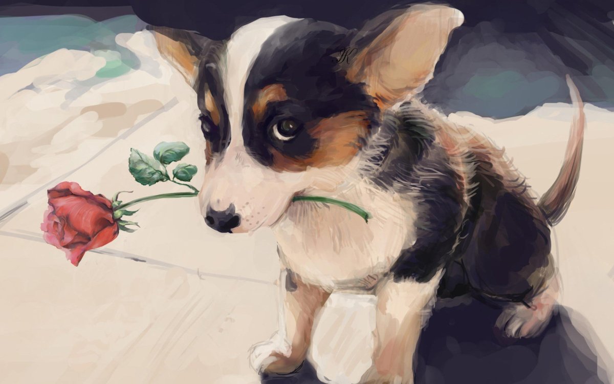 Корги арт милый