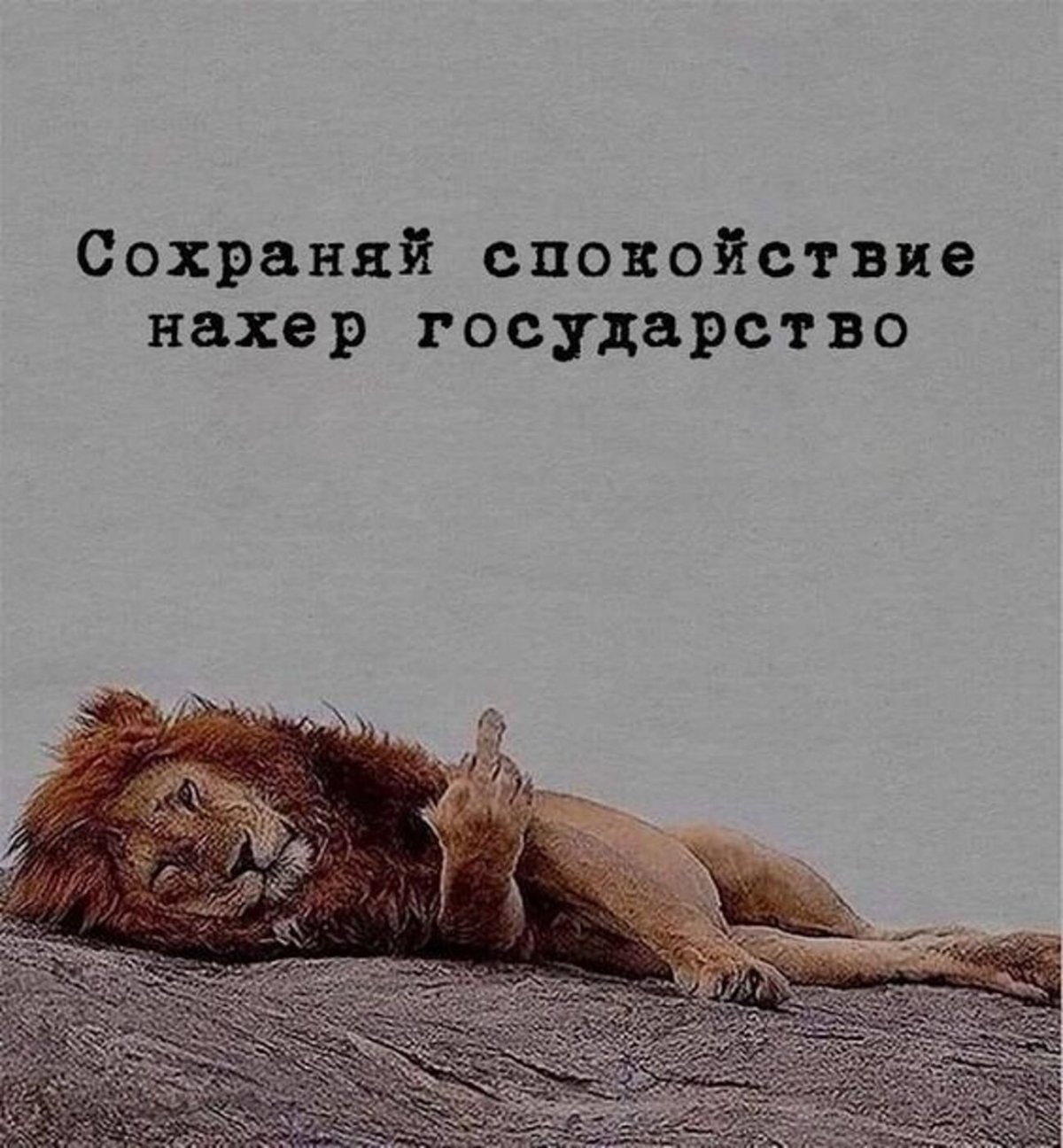 Смешные лягушки