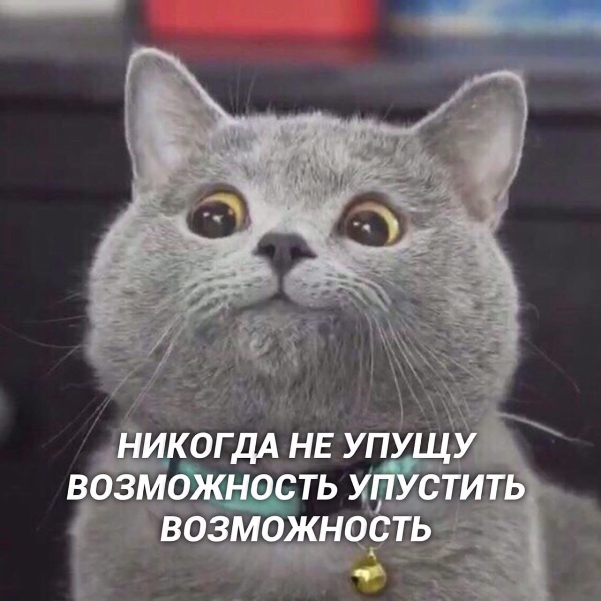 С днем рождения буддисту