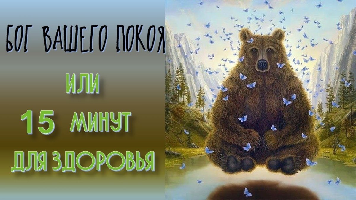 Смешные цитаты на каждый день