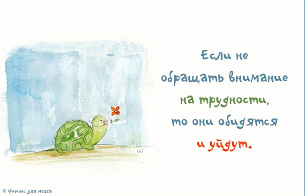 Смешные советы на каждый день