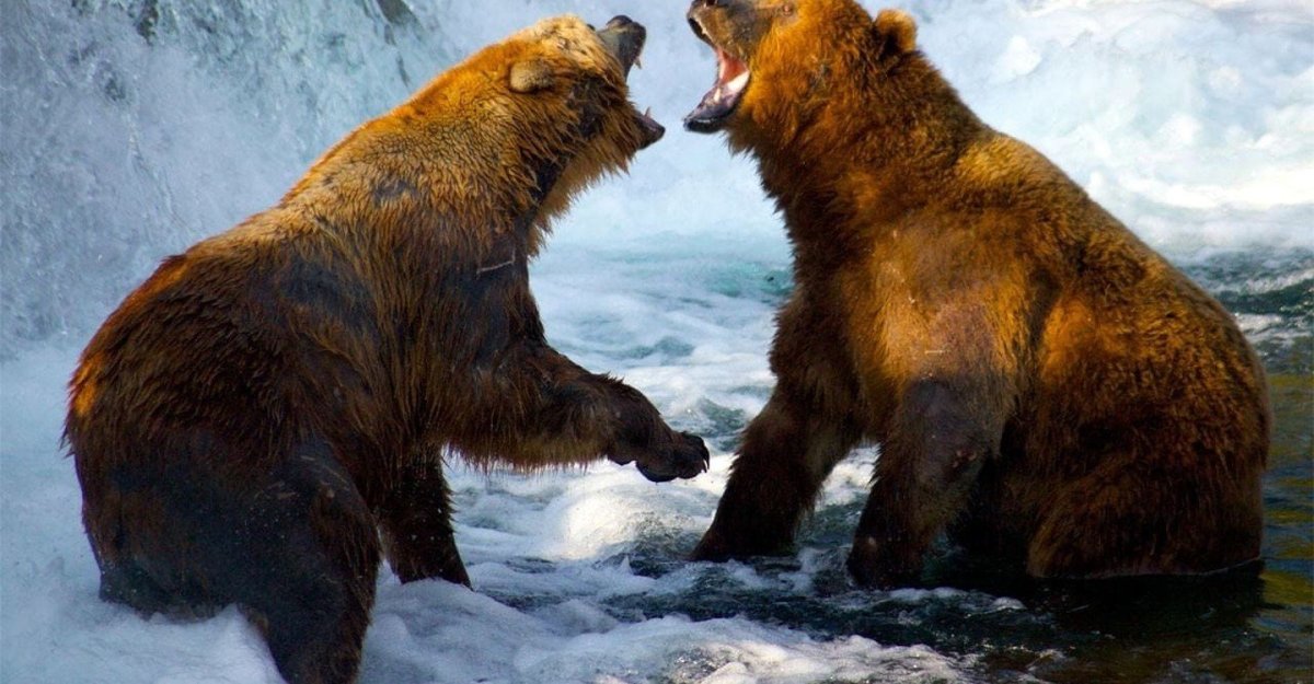 Маргарита Карева медведь Степан