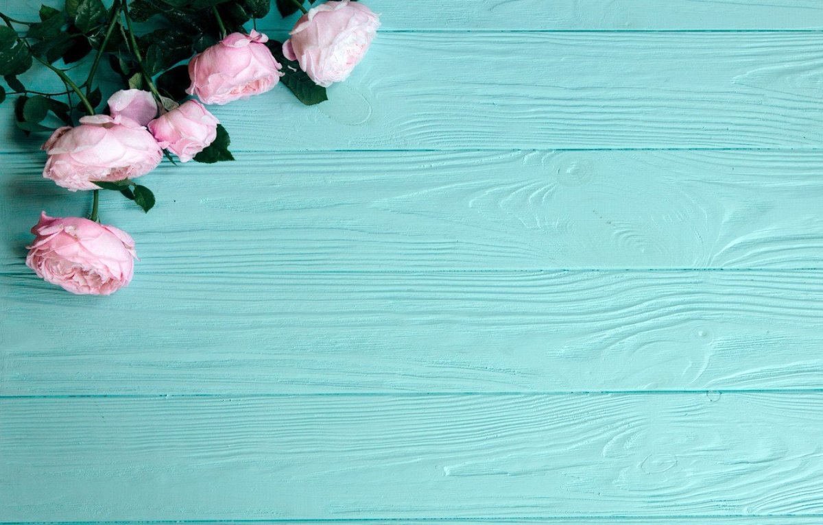 Фотофон нежно розовый