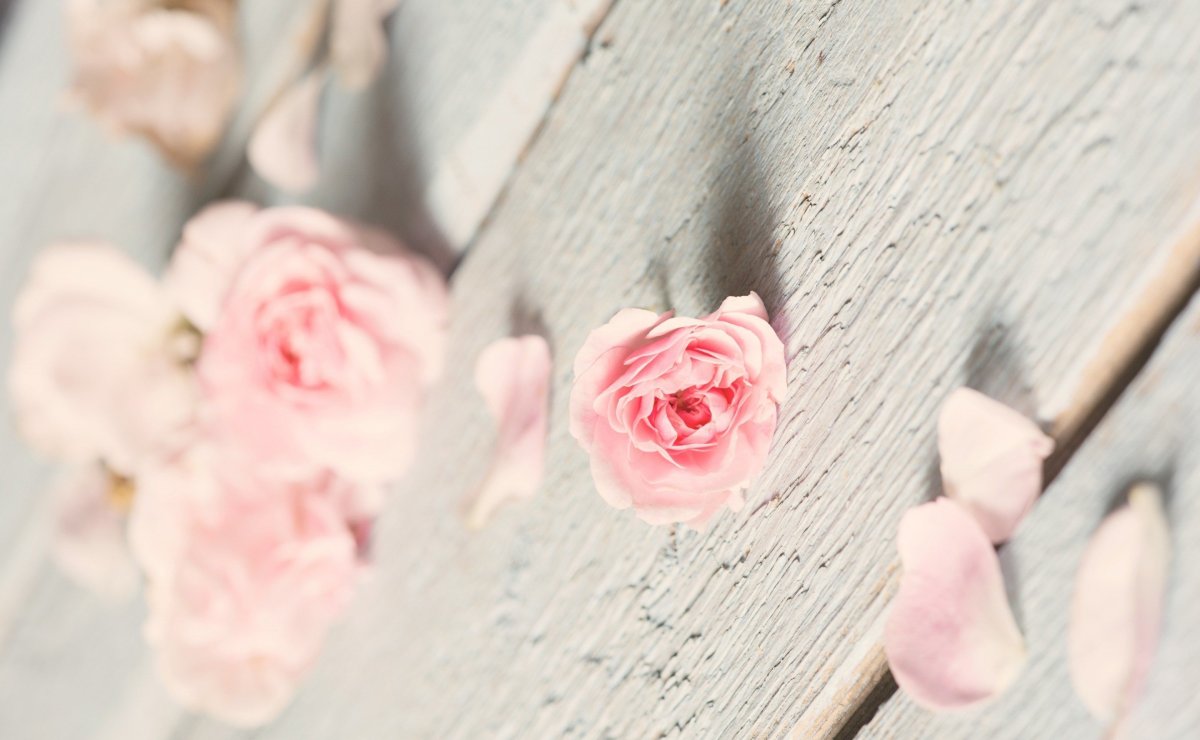 Фотофон в пастельных тонах