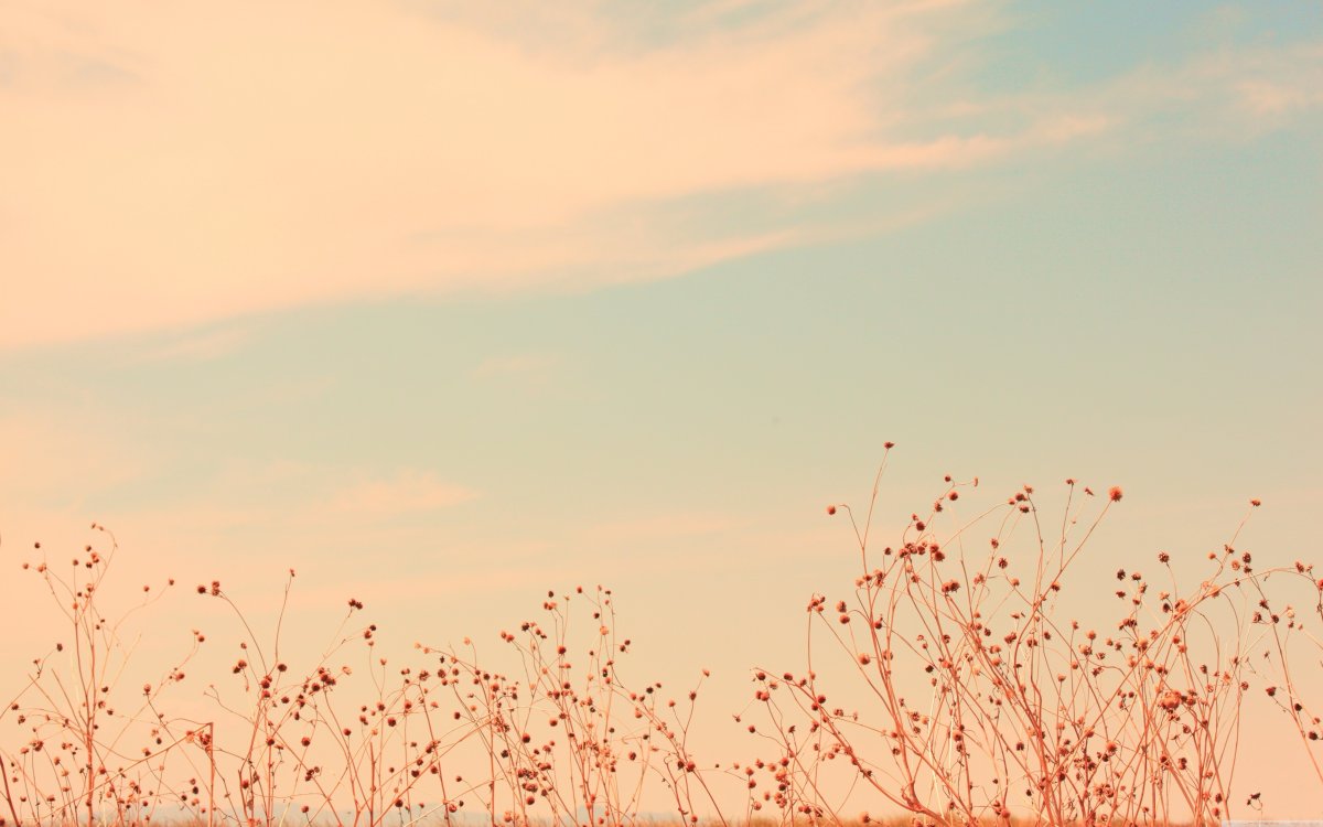 Красивый фон в пастельных тонах