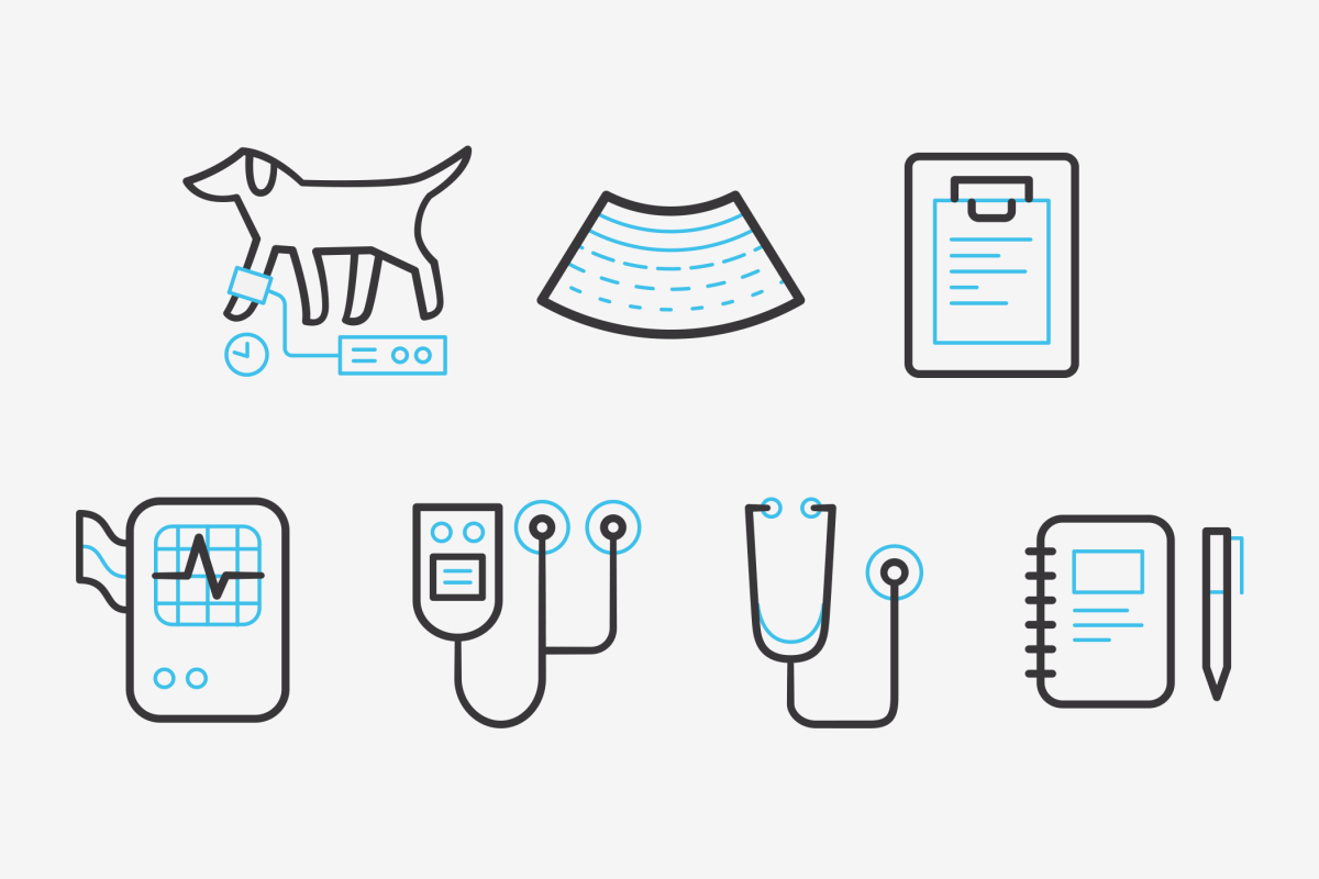 Девушка ветеринар кот