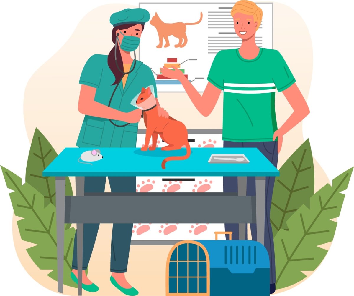 Ветеринарный врач мультяшный