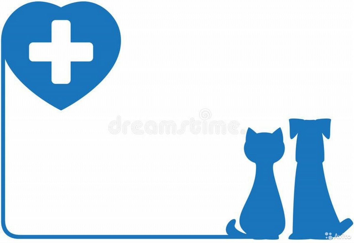 Ветеринар для животных вектор