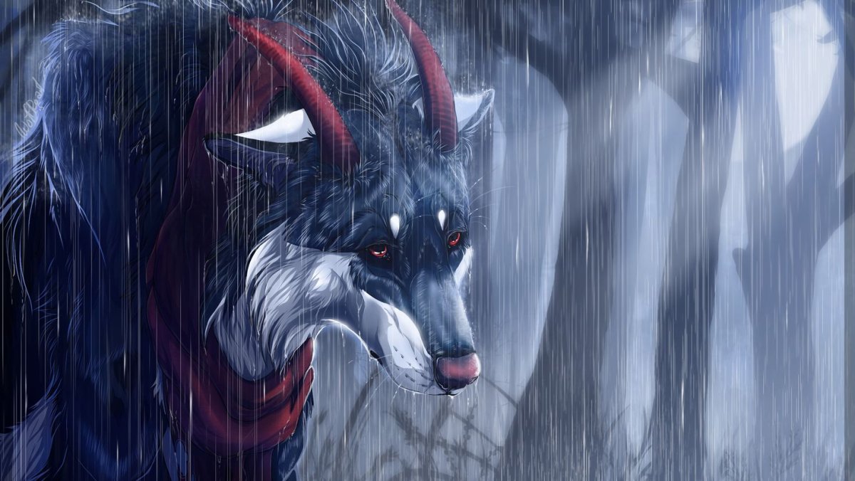 Волк под дождем арт