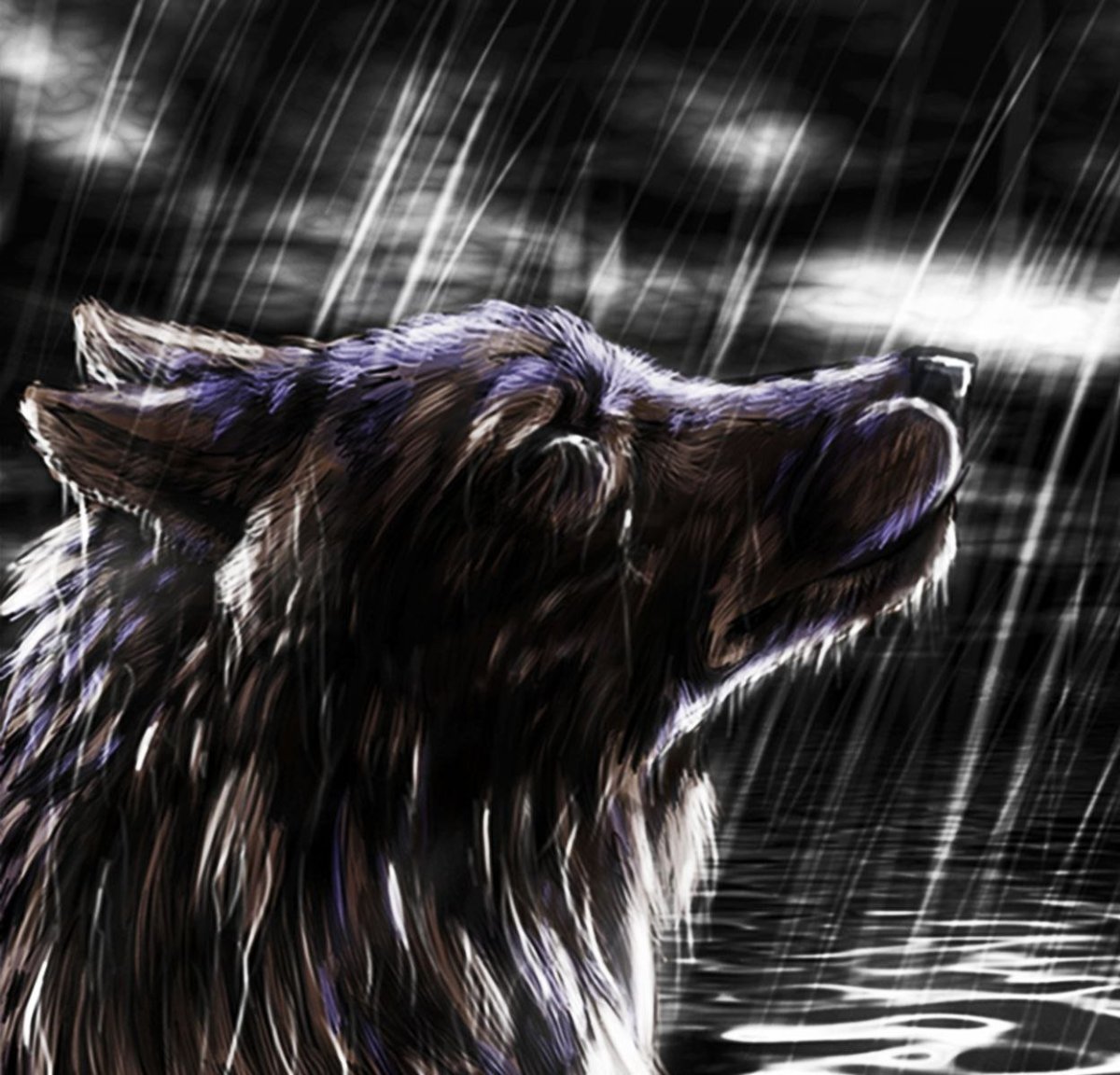 Плачущий волк