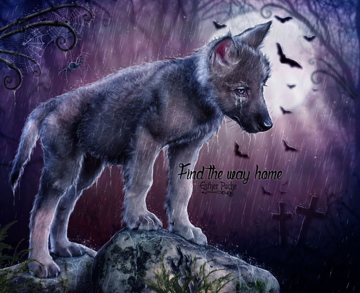 Грустный Волчонок