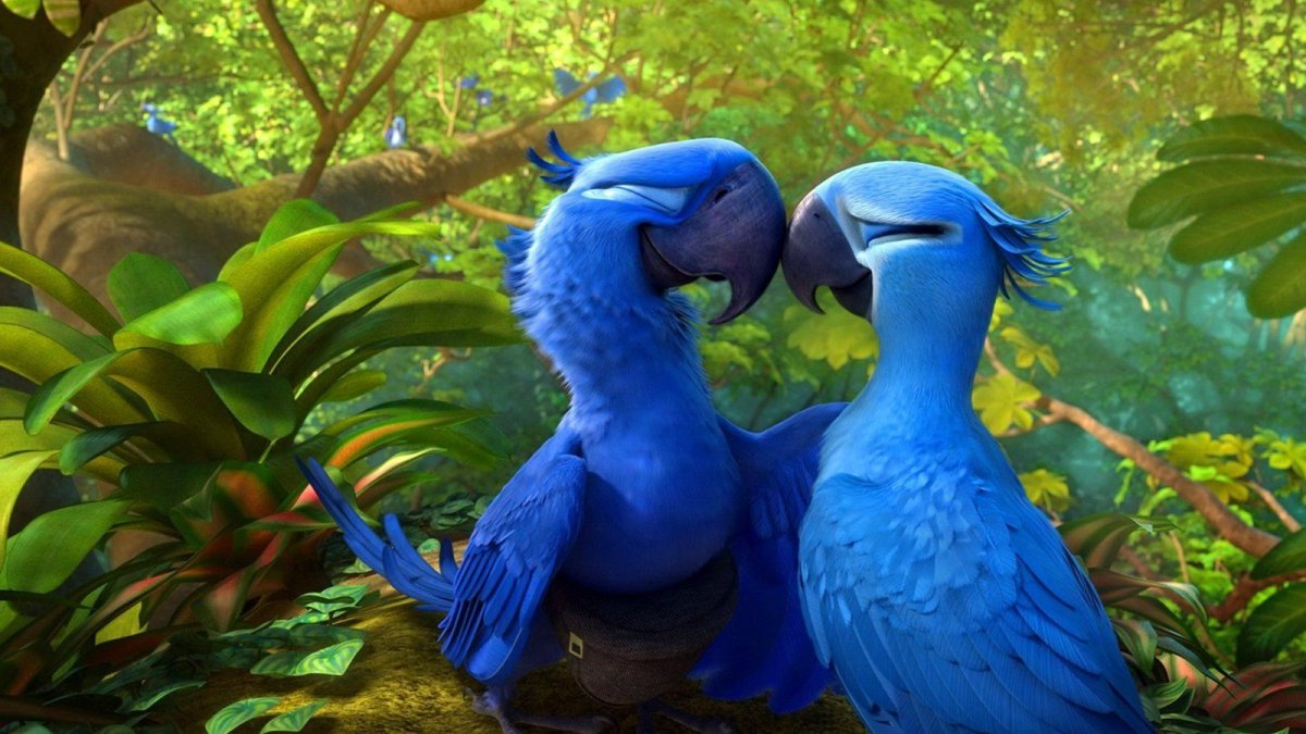 Рио Голубчик и Жемчужинка