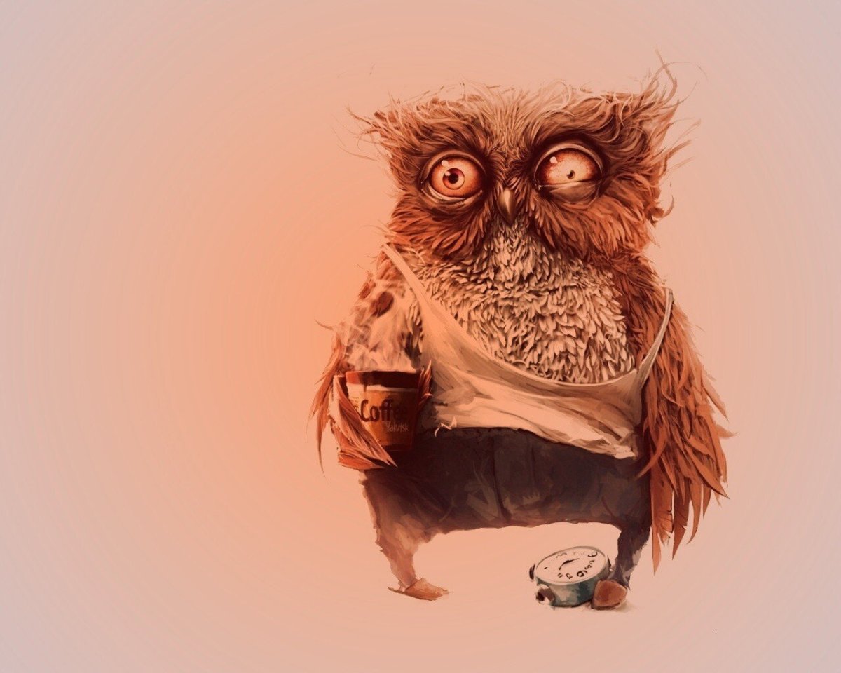 Сонная Сова прикольные