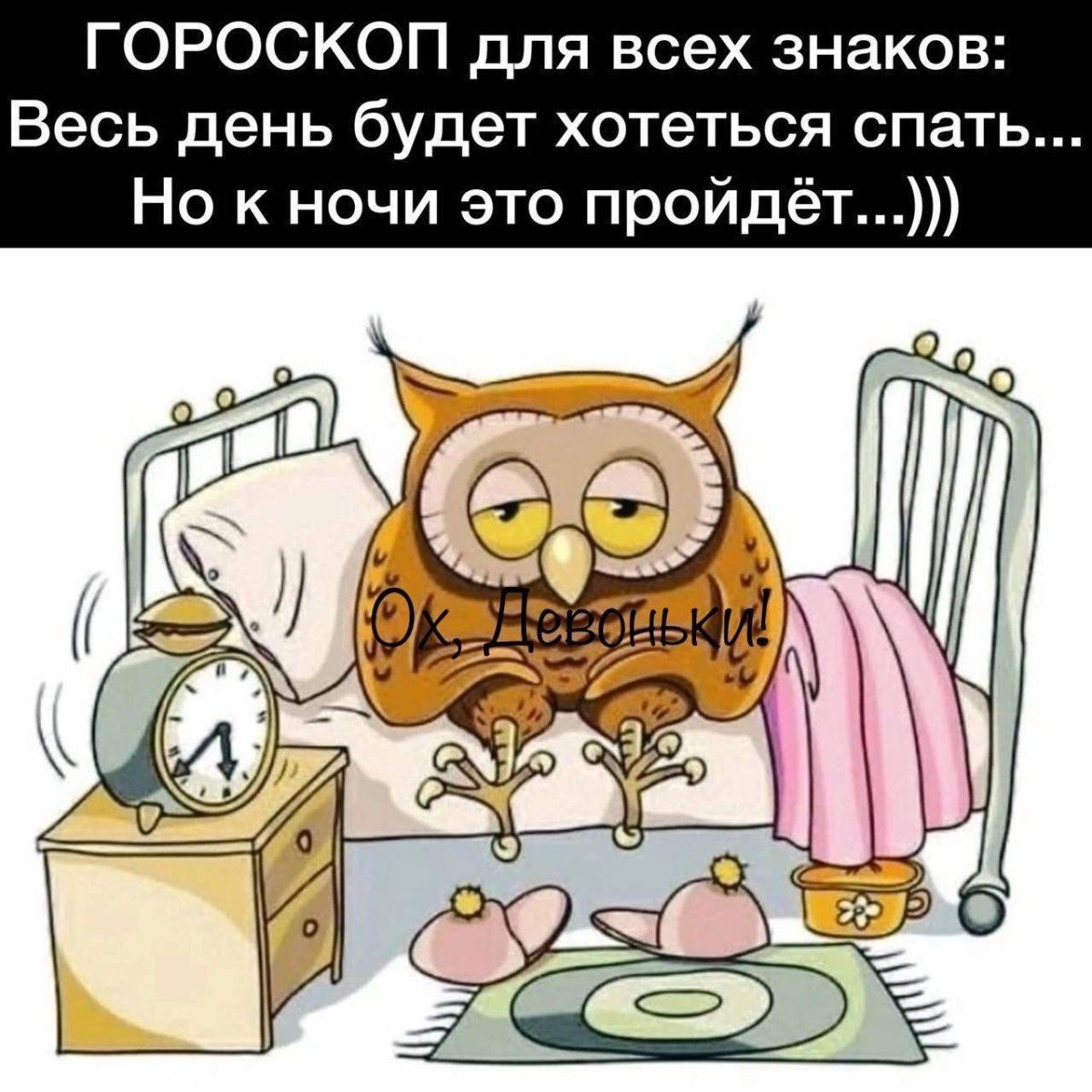 Невыспавшаяся Сова