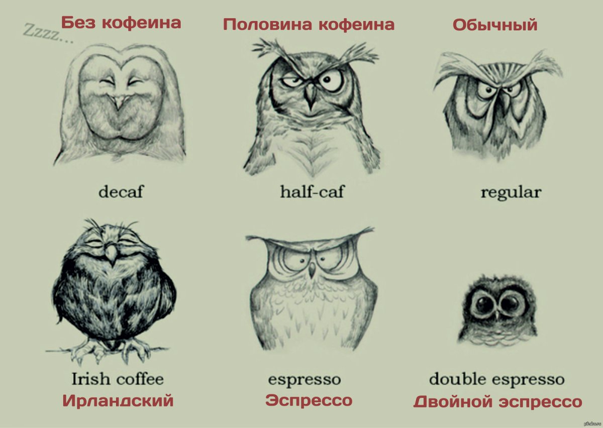 Ты высыпаешься куда высыпаюсь