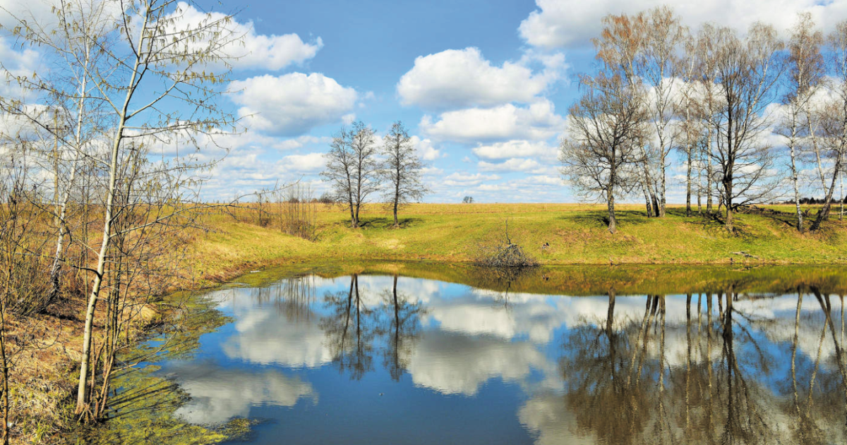 Природа Весна апрель