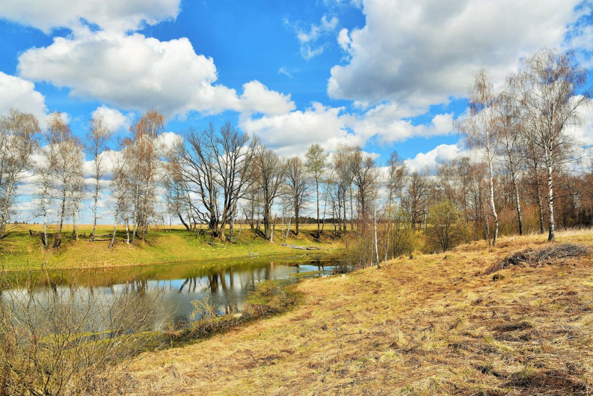 Апрель природа