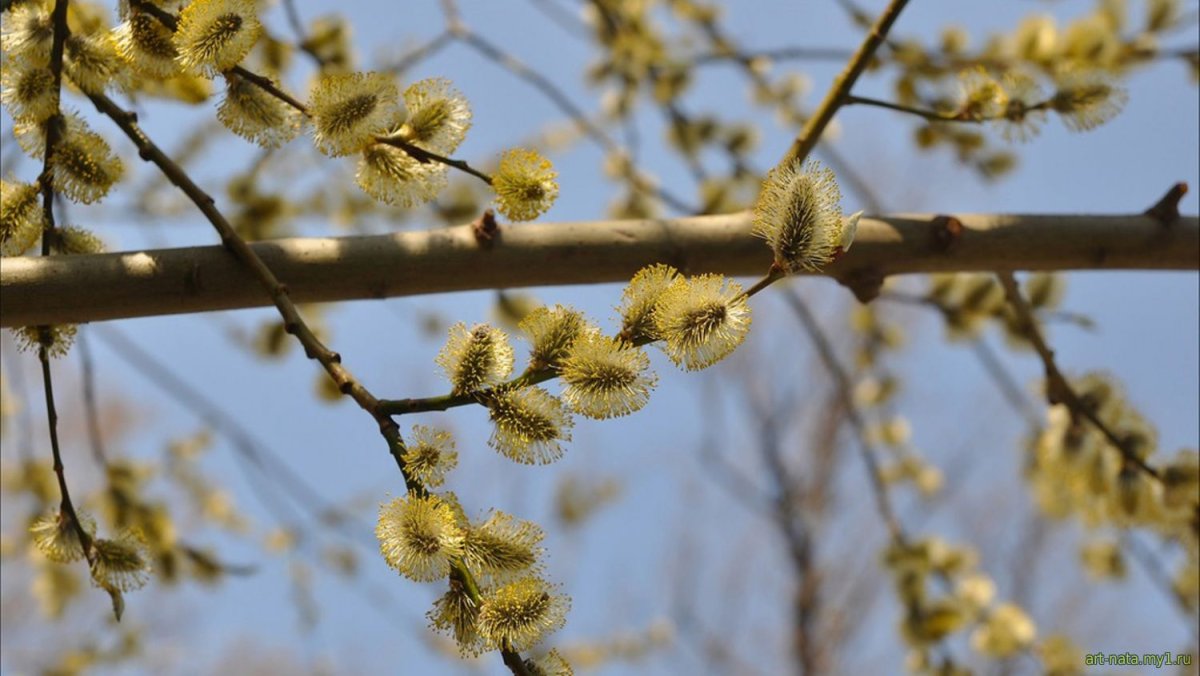 Апрель фото