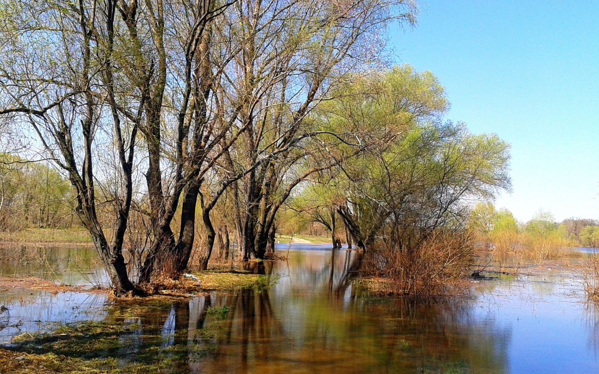Природа Весна апрель