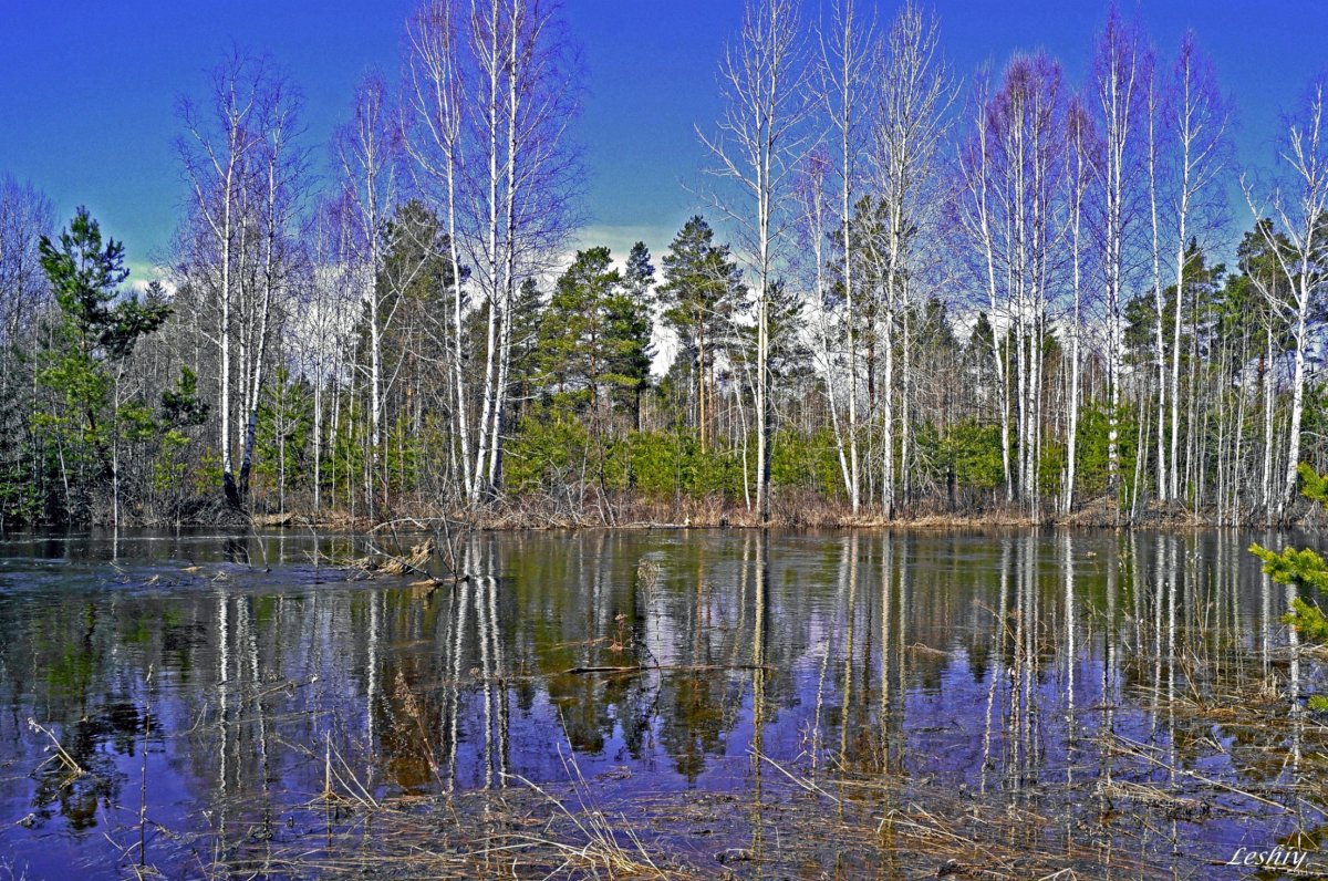 Природа Весна апрель