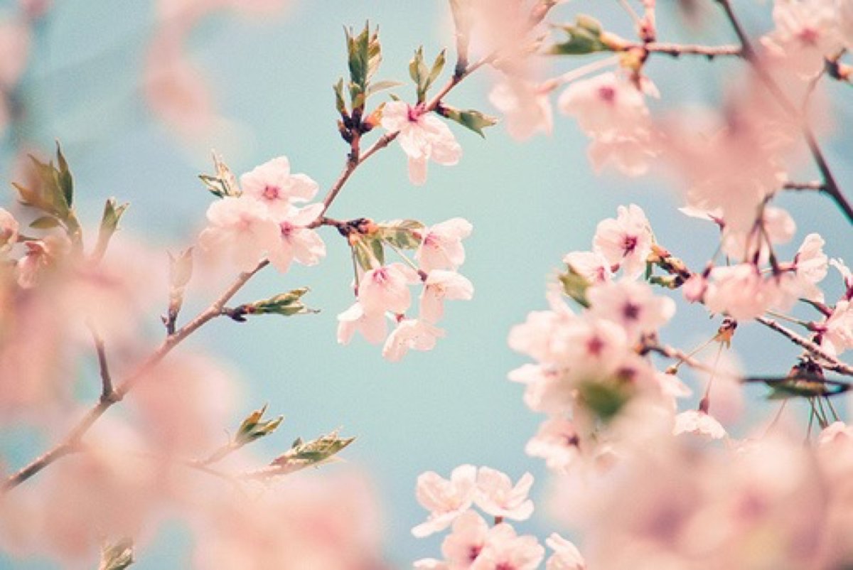 Ранняя Весна природа