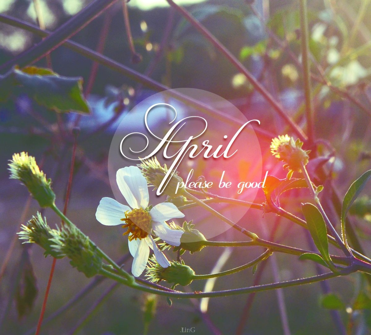 Апрель середина весны