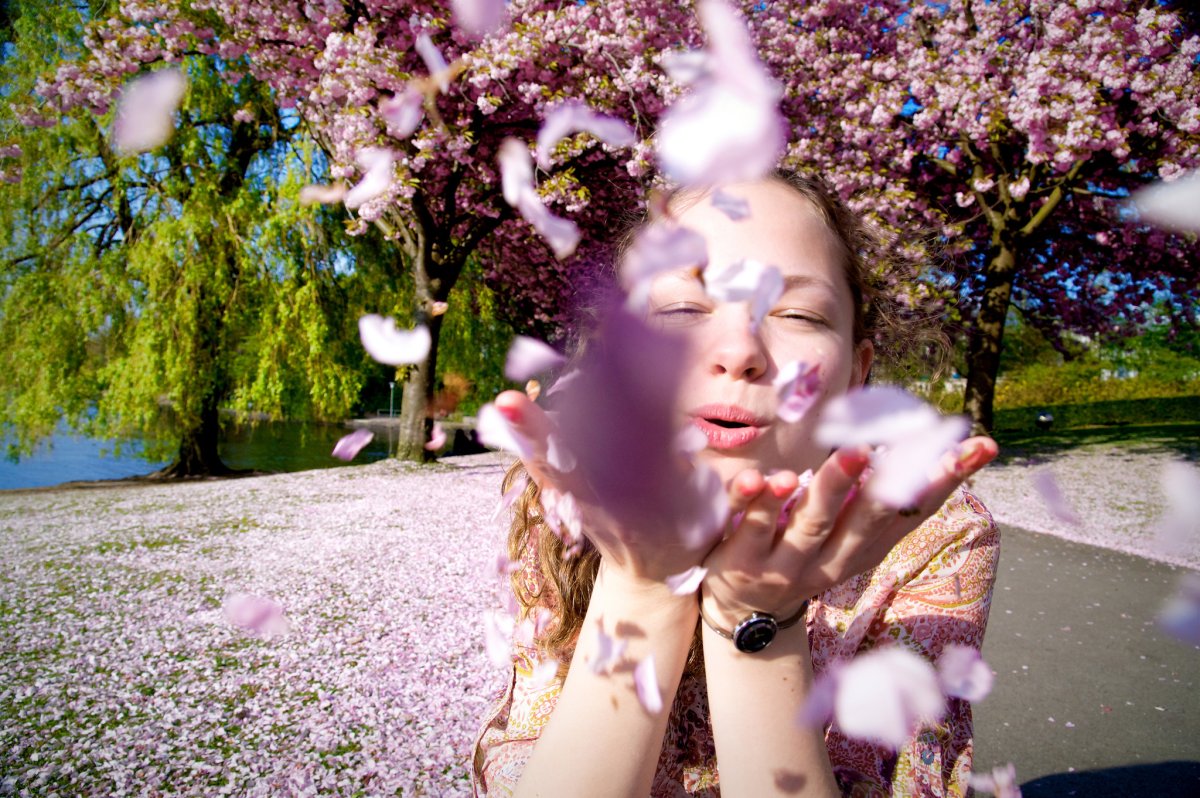 Цветы для инстаграмма