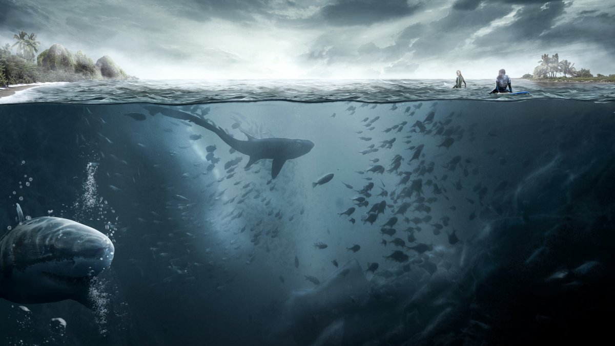 Киты в океане