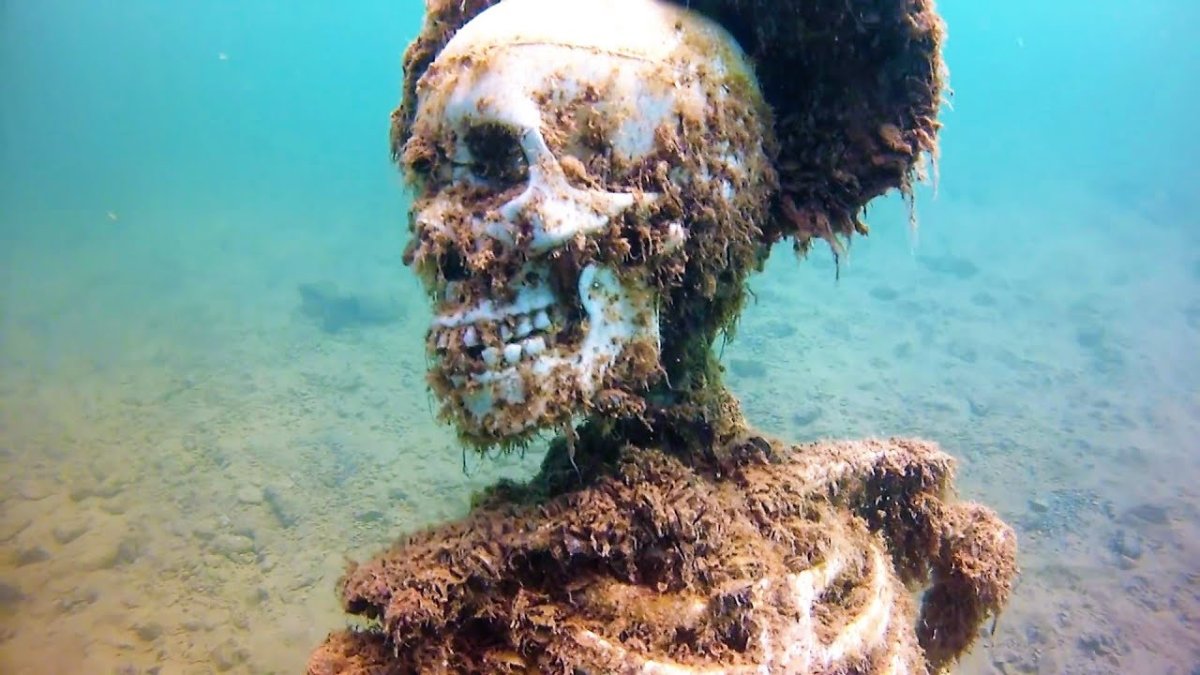 Скелеты в затонувших кораблях