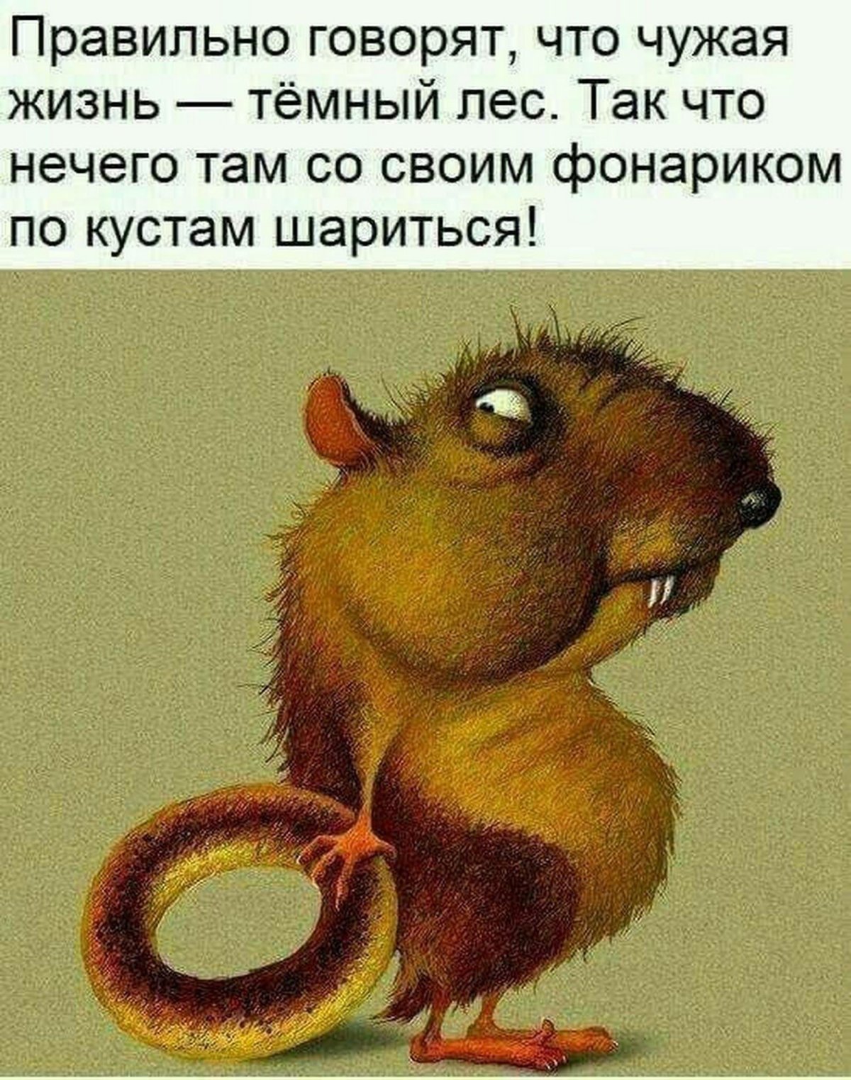 Прикольные статусы в картинках