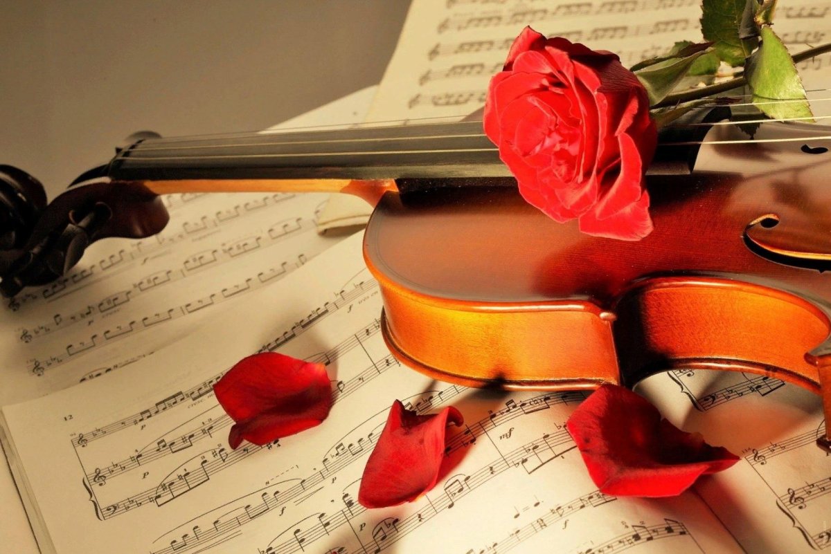 Поэтический вечер заставка