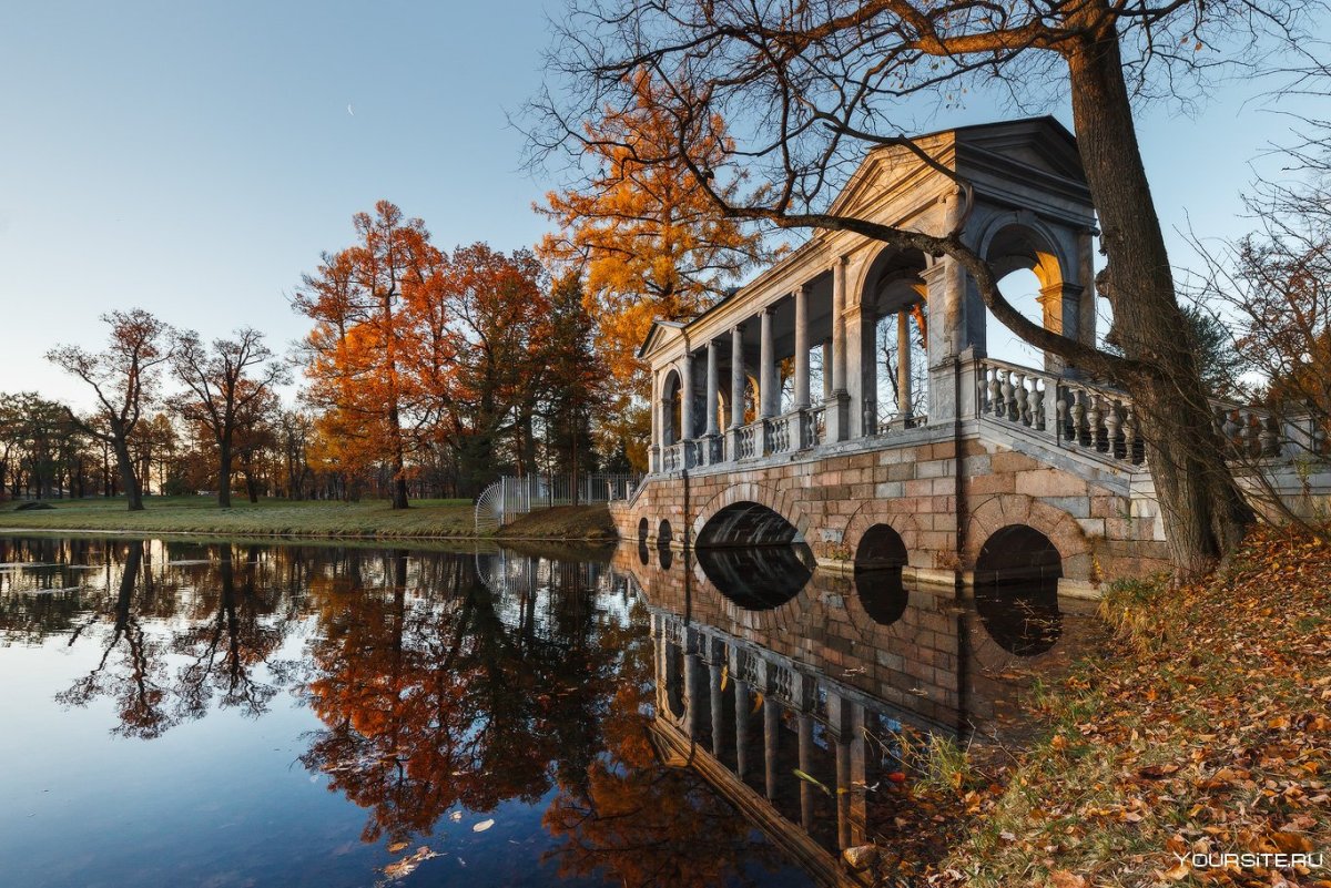 Царское село парк осенью