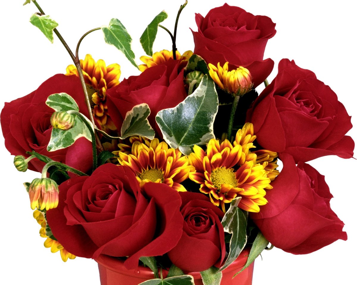 Огромный букет белых роз с днем рождения