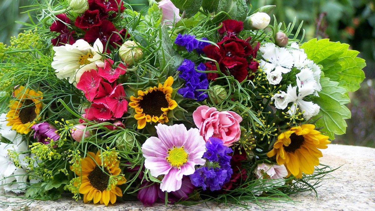 Цветы просто так для настроения