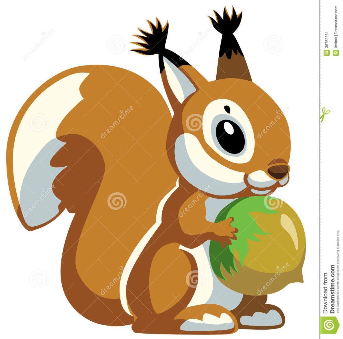 Белка с орехом вектор