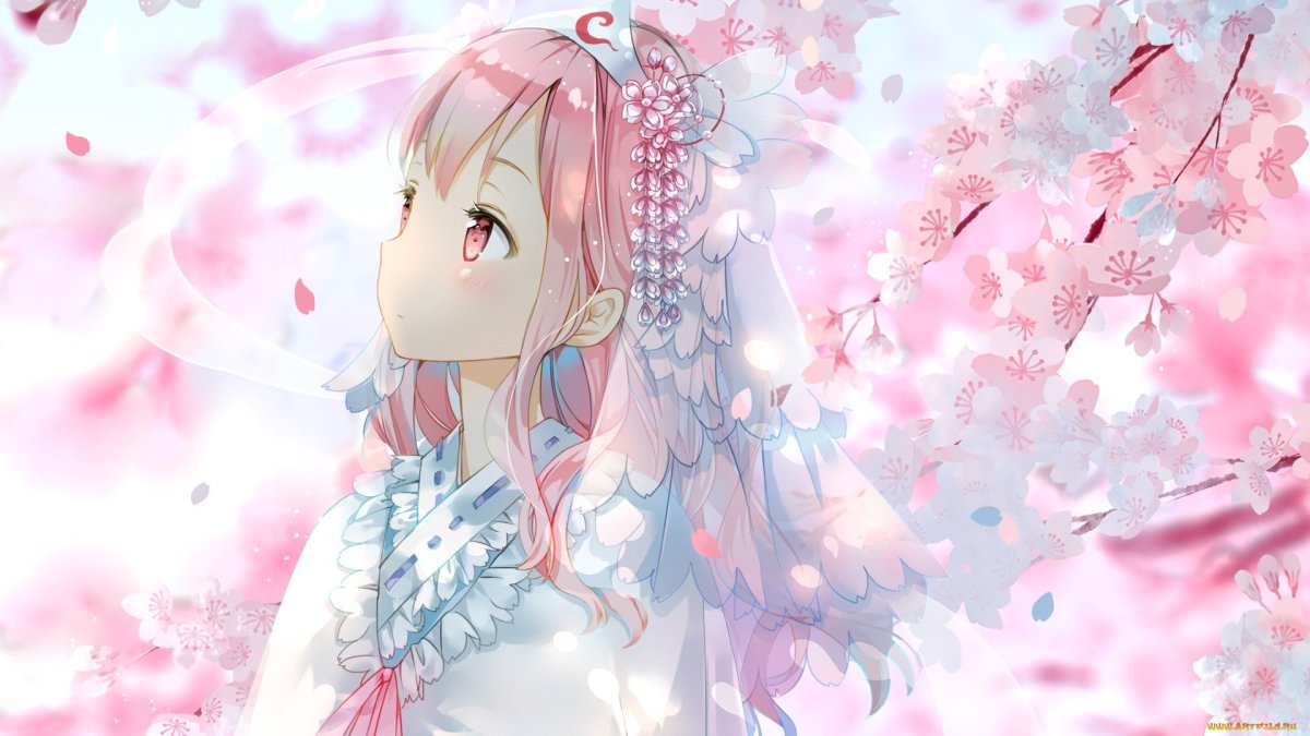 Черри блоссом аниме 1920