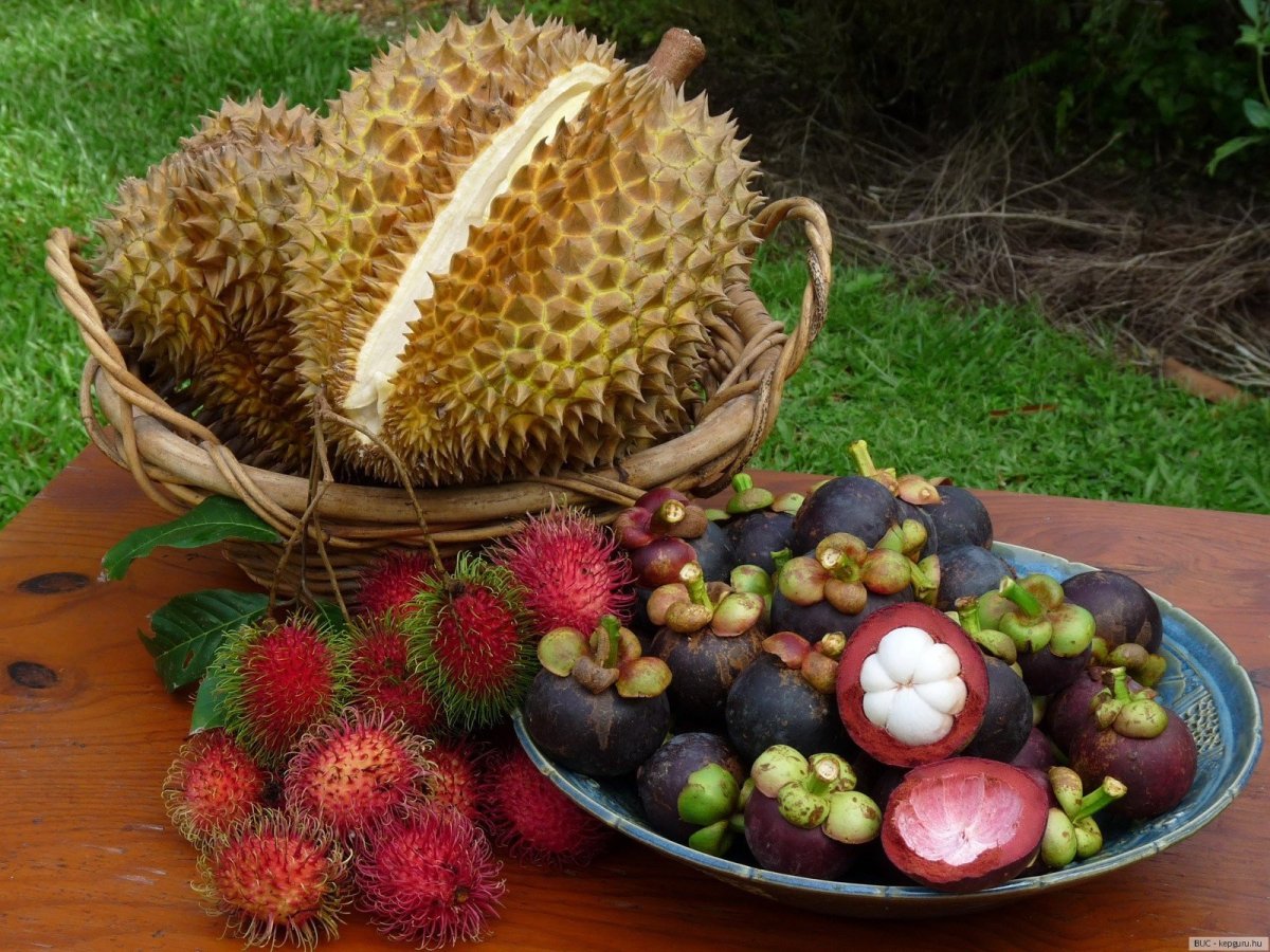 Фрукты Тайланда