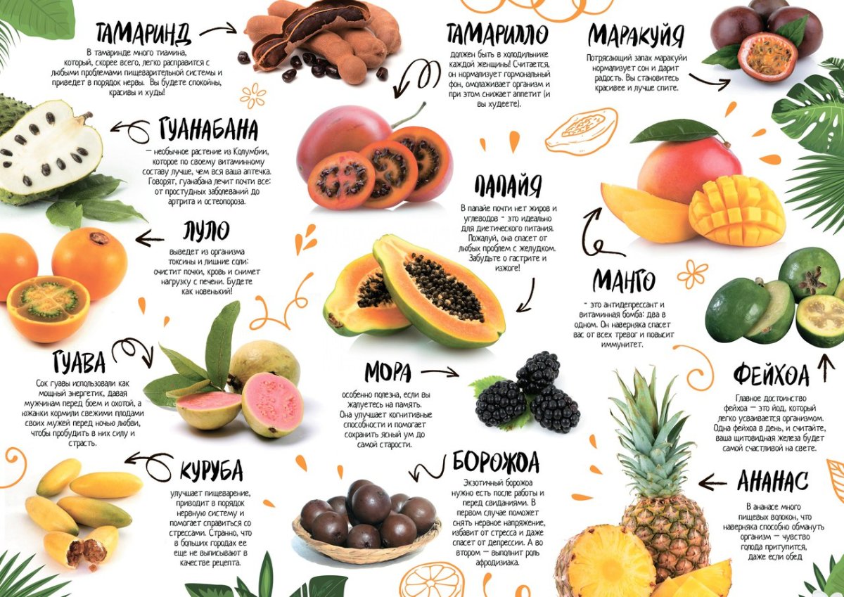 Экзотические фрукты из названия