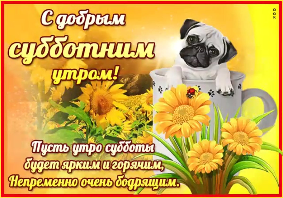 Доброе субботнее утро