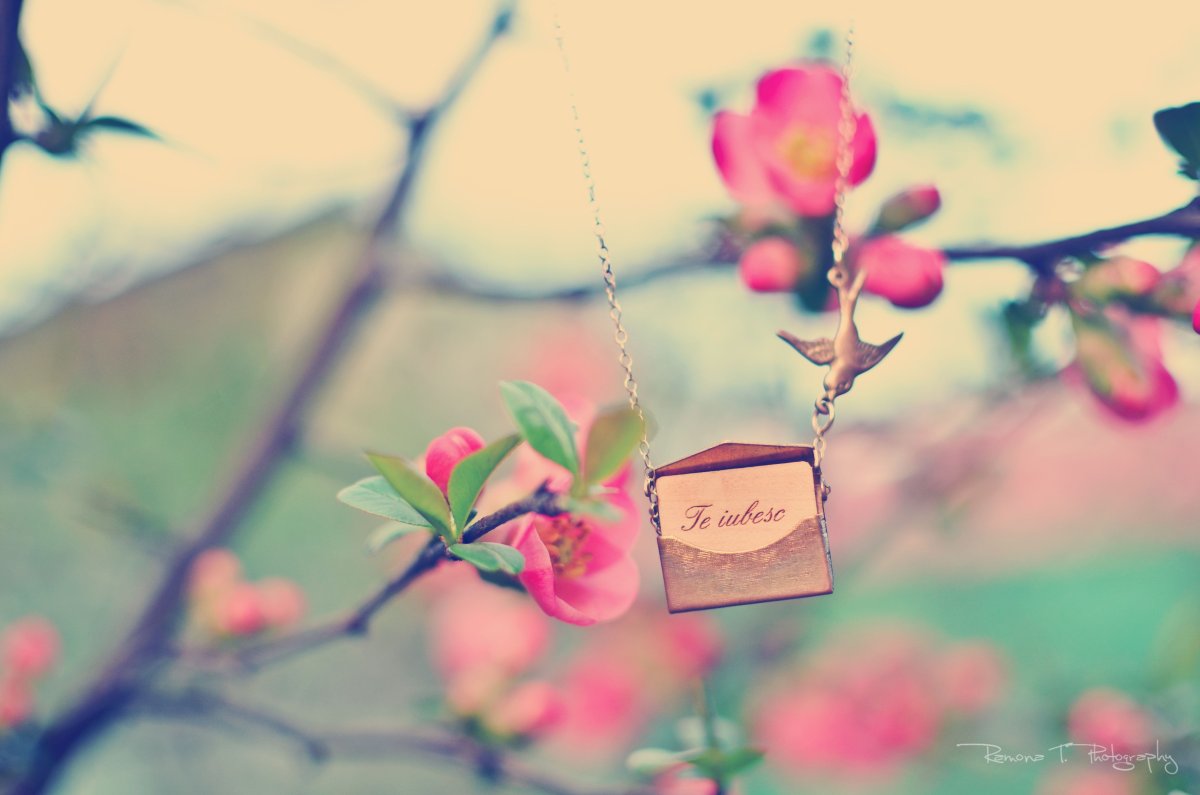 Милые весенние обои