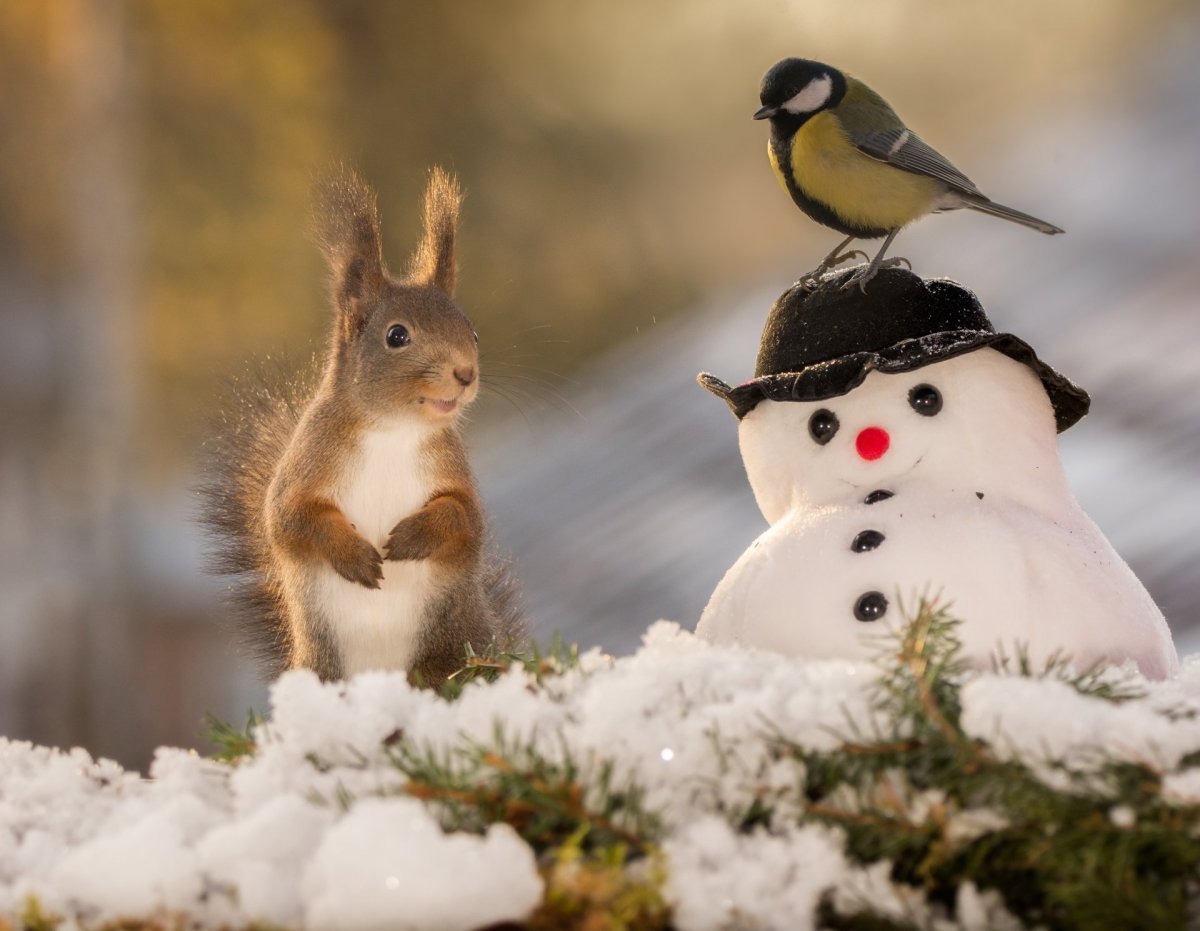 Зимнее настроение