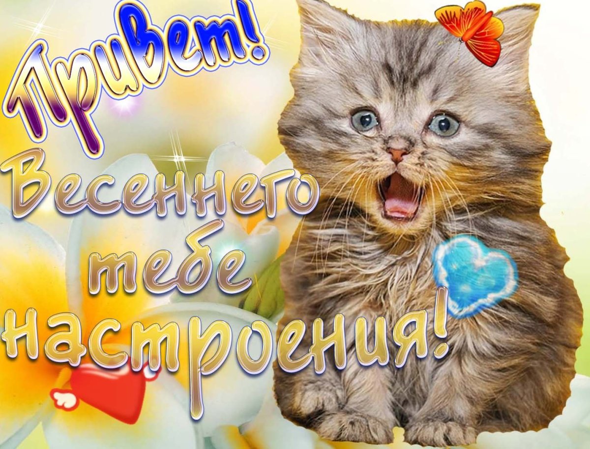 Весенний привет открытки